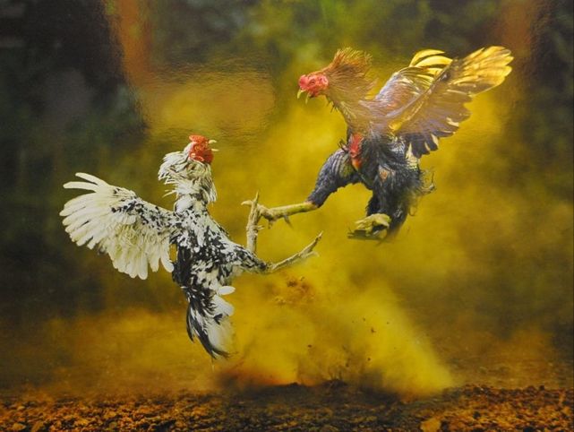 mrlucky888,mr.lucky88,mr lucky88,mr lucky 88,mrlucky88 live,mrlucky88 login,mrlucky88 online,free credit,free credit slot,free credit no deposit,link free credit,free kredit